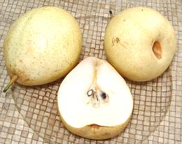 Yali-peren geheel en gesneden