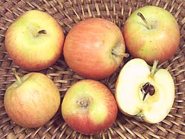 jabłka krabowe, całe i cięte