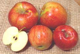 Jonagold-omenat kokonaisina ja leikattuina