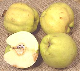 Quinces, hele og kuttet