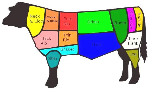 English Beef Cuts Chart