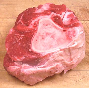 Beef Bone Cross Section