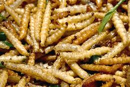 Deep Fried Bamboo Worm Larva