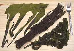 Dried and Rehydrated Wakame