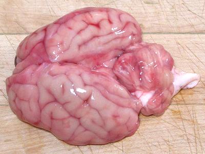 Lamb Brain, whole