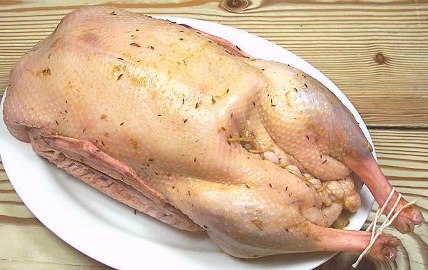 Stuffed Goose, Front