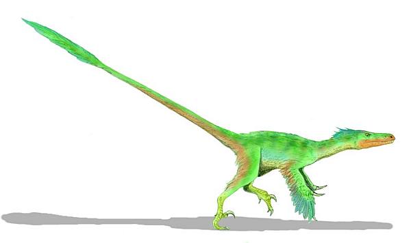 Velociraptor