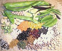 Mix of Many Beans, Peas, Lentils