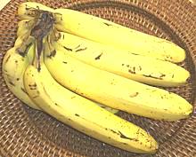 Bananas