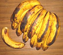 Ripe Lacatan Bananas