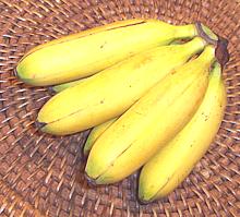 Bunch of Nino Bananas