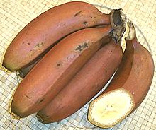 Red Dacca Bananas