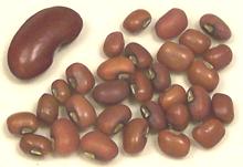 Azuki Beans