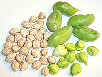 Chickpeas