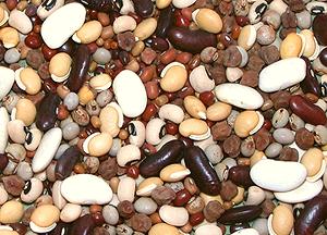 Mixed Dry Beans