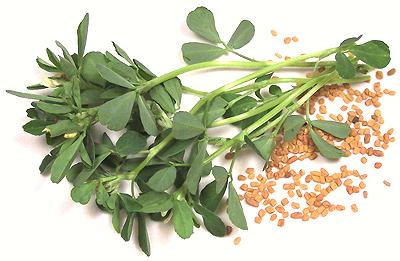 Fenugreek Leaves and Seeds