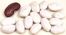 Great Northern beans