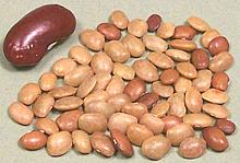 Horse Gram