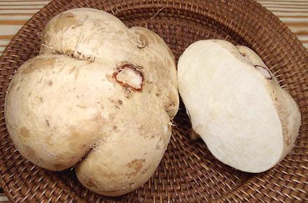 Whole and cut Jicama Tubers