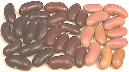 Red Kidney Beans