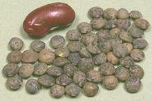 Puy Lentils