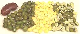 Mung beans