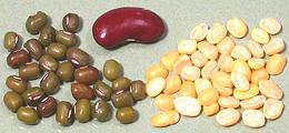 Mung beans