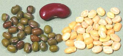 Whole and Dal