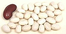 Navy Beans