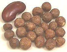 Maple Peas