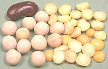 Yellow Peas