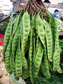Sataw Beans