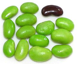 Fresh Green Soy Beans