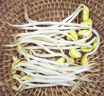Soy and Mung Bean Sprouts