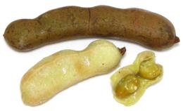 Green Tamarind Pods, whole and peeled