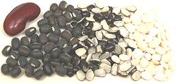 Urad Beans