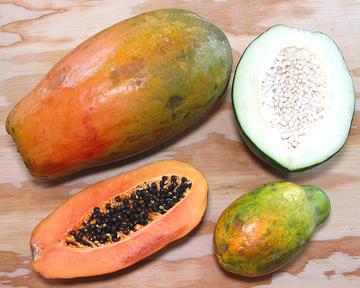 Several Papaya Fruit Types