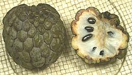 Sugar Apple
