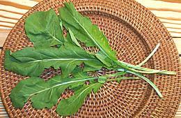 Arugula