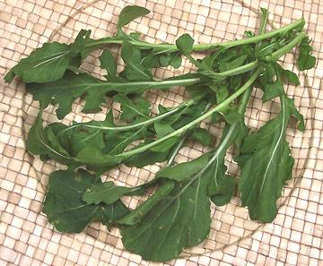 Stems and Leaves