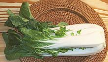 Napa Cabbages