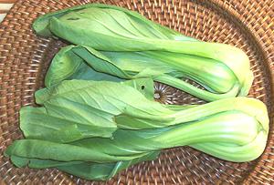 Shanghai Bok Choy heads