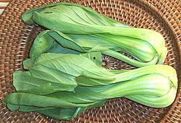 Shanghai Bok Choy