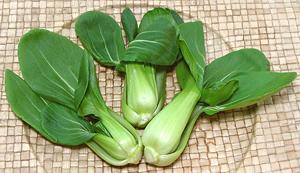 Shanghai Bok Choy Mui heads