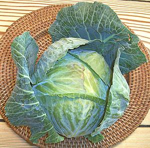 White Cabbage Head with Outer Leaves