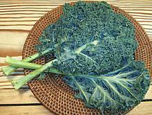 Curly Kale