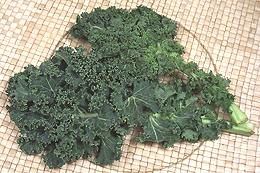 Curly Kale