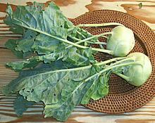 Kohlrabi