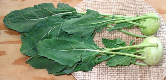 Kohlrabi Stems with Leaves