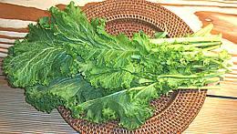 Mustard Greens